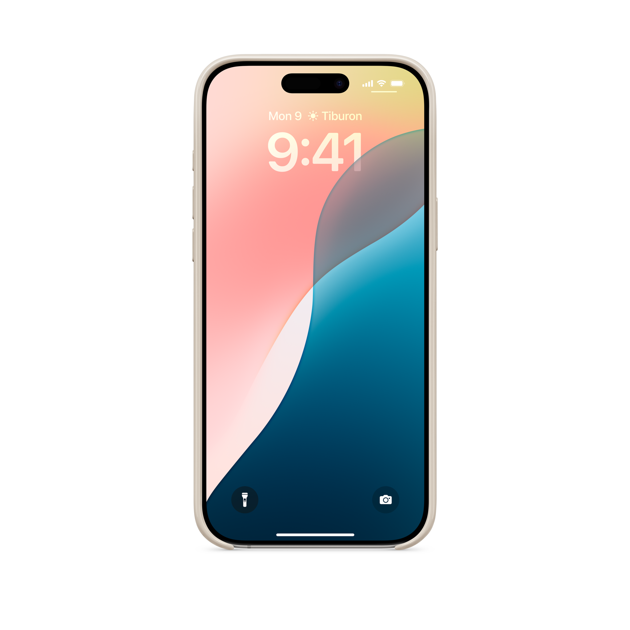 Beats iPhone 16 Pro Max Case with MagSafe — Summit Stone