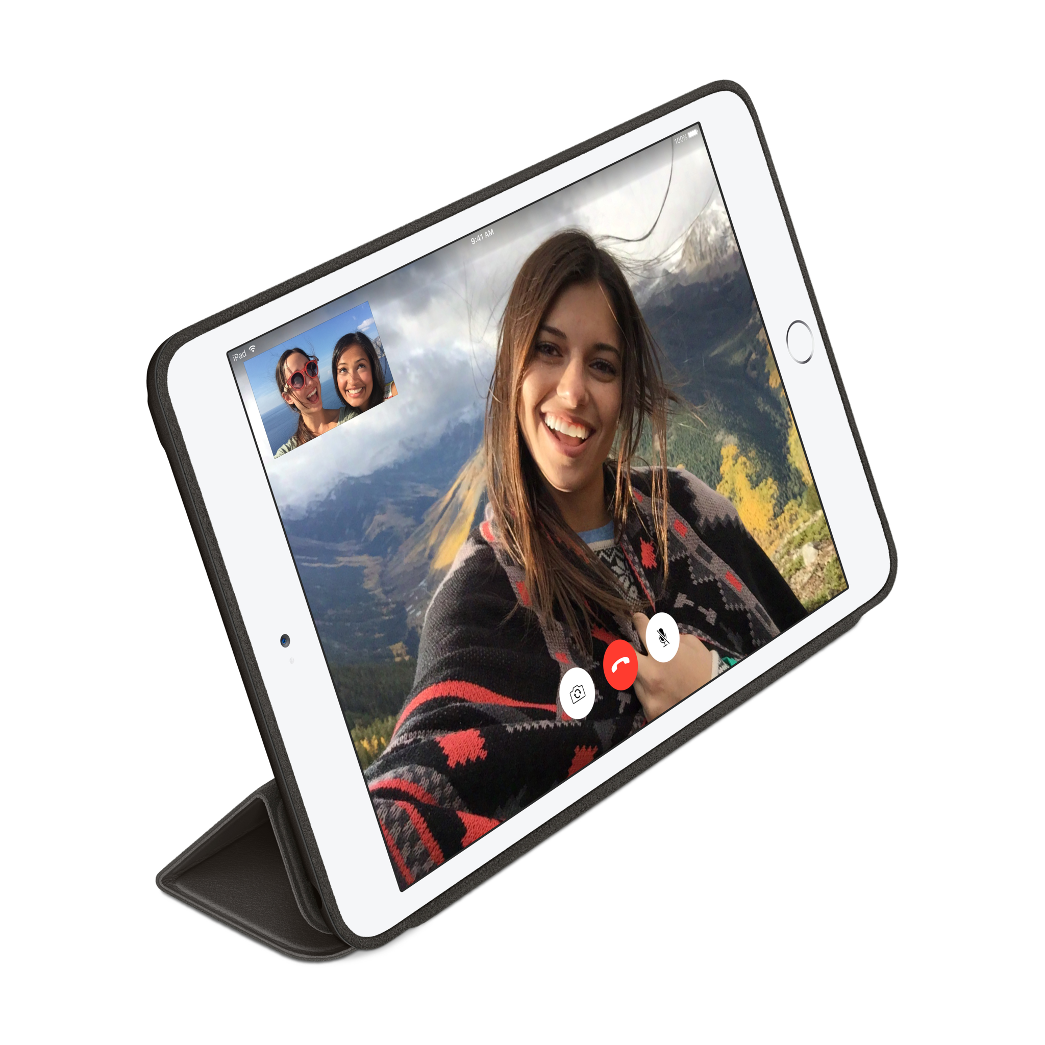 iPad mini Smart Case — Black