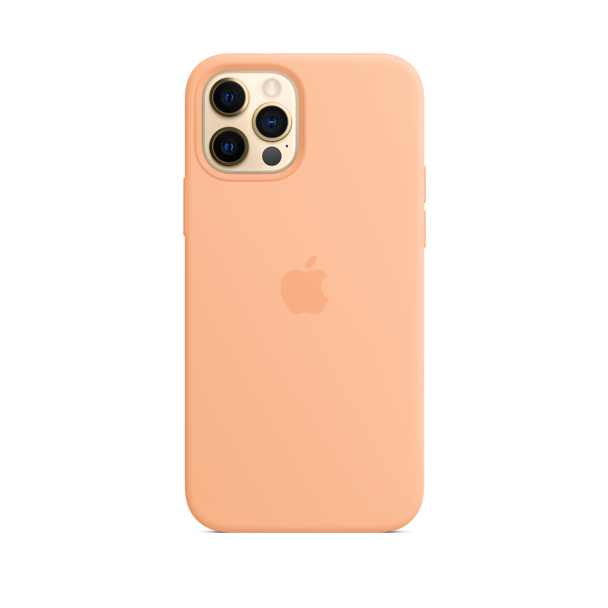 iPhone 12 & 12 Pro Silicone Case with MagSafe — Cantaloupe
