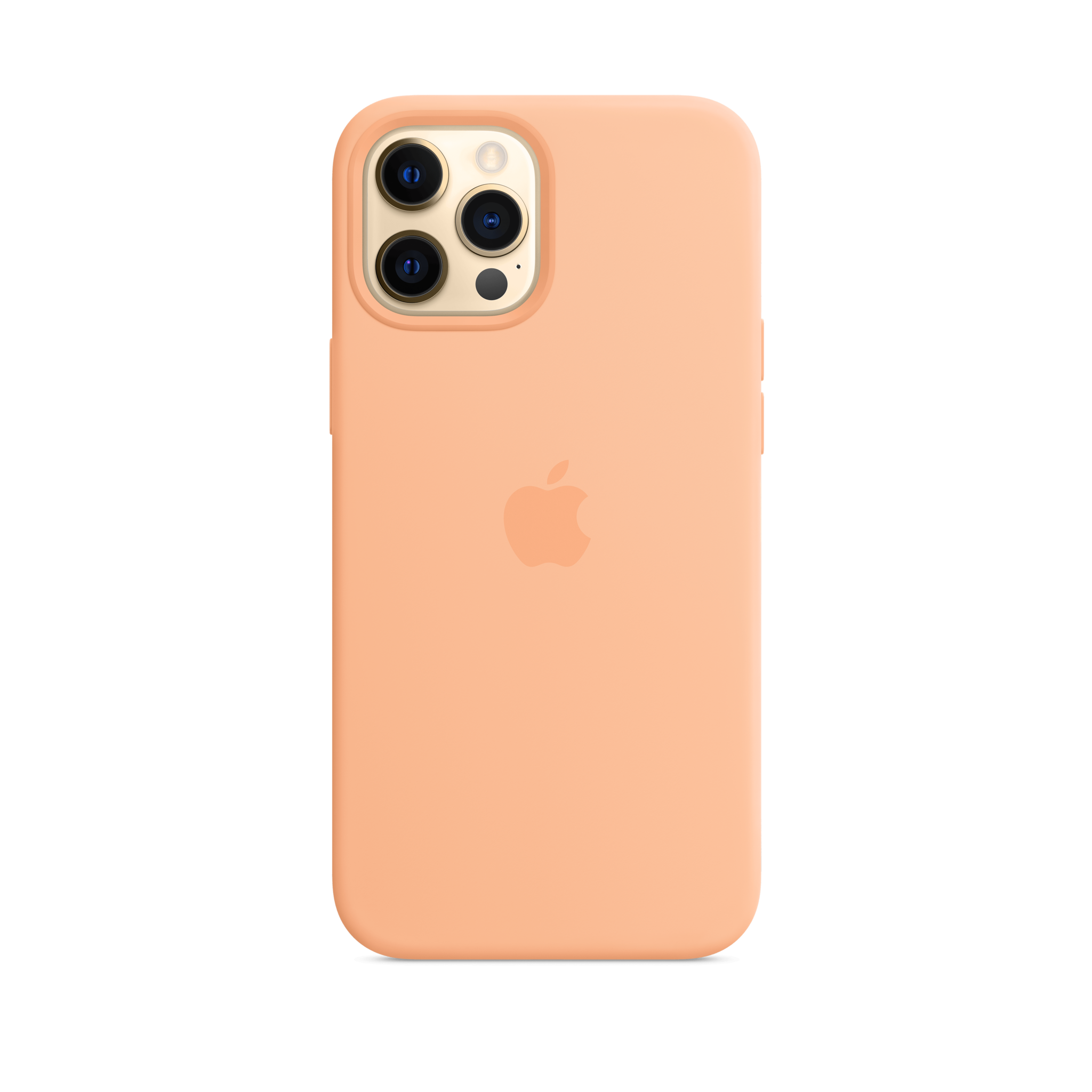 iPhone 12 Pro Max Silicone Case with MagSafe — Cantaloupe