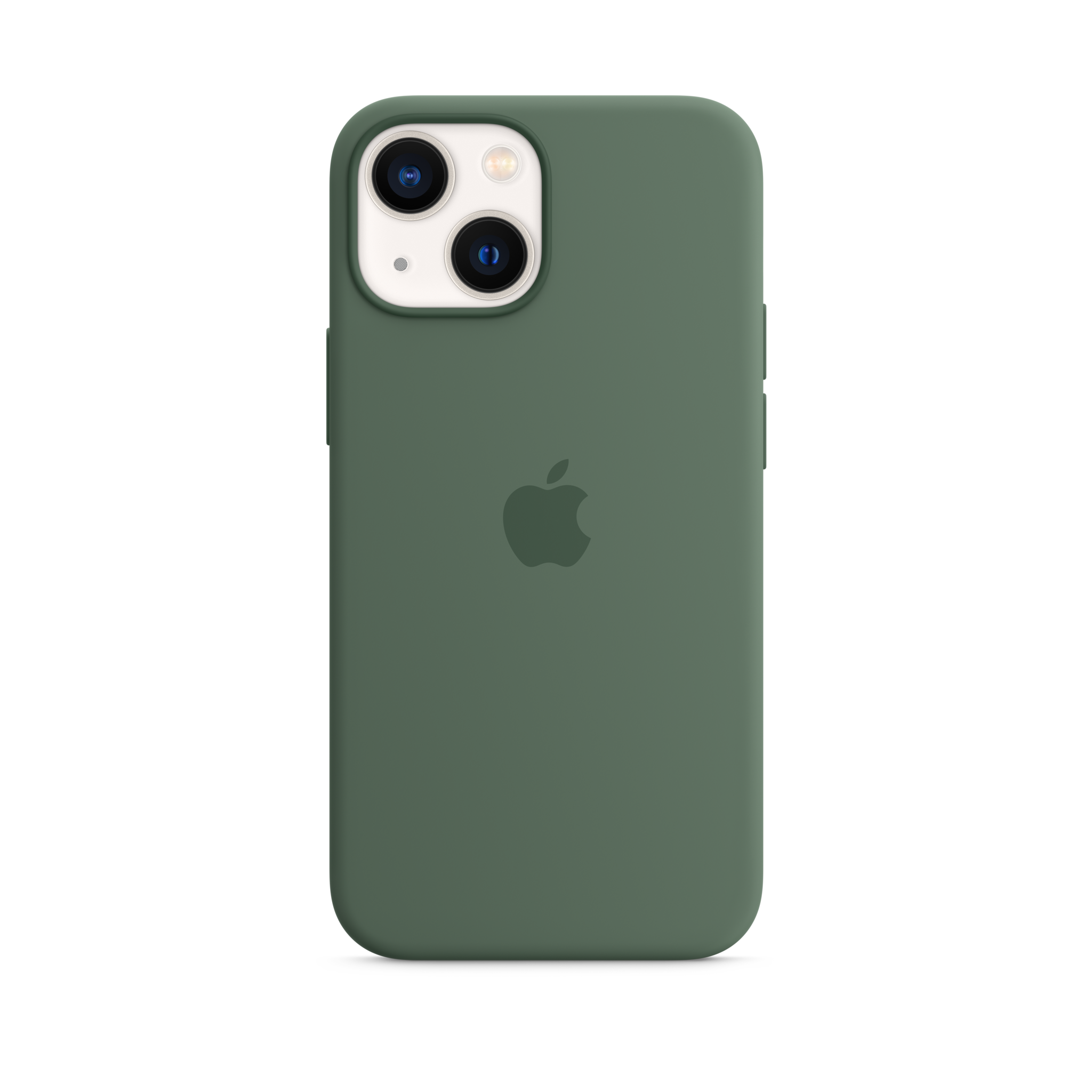 iPhone 13 mini Silicone Case with MagSafe — Eucalyptus