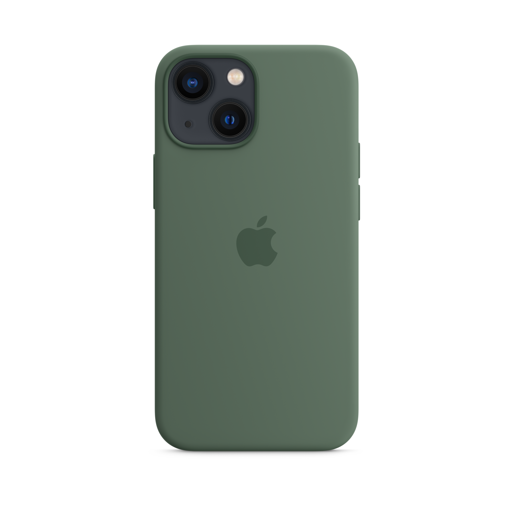 iPhone 13 mini Silicone Case with MagSafe — Eucalyptus