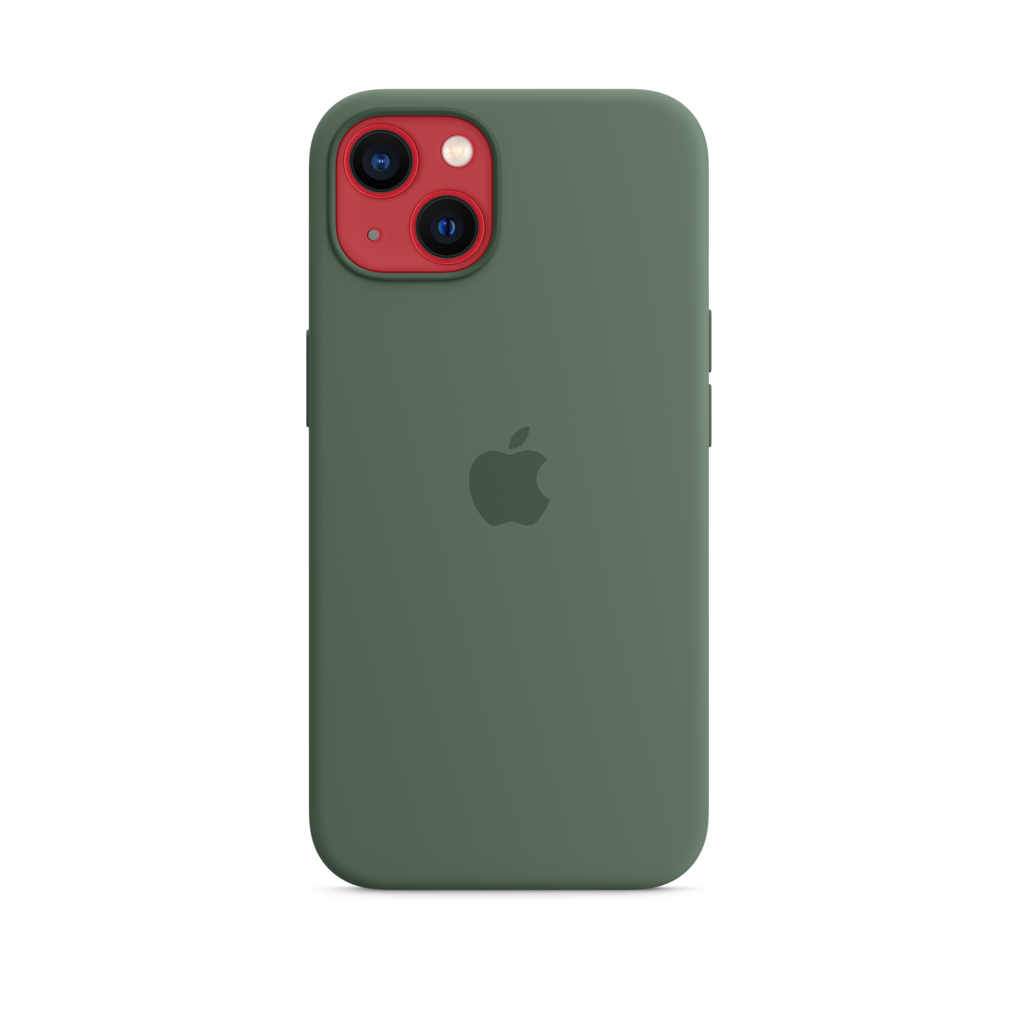 iPhone 13 Silicone Case with MagSafe — Eucalyptus