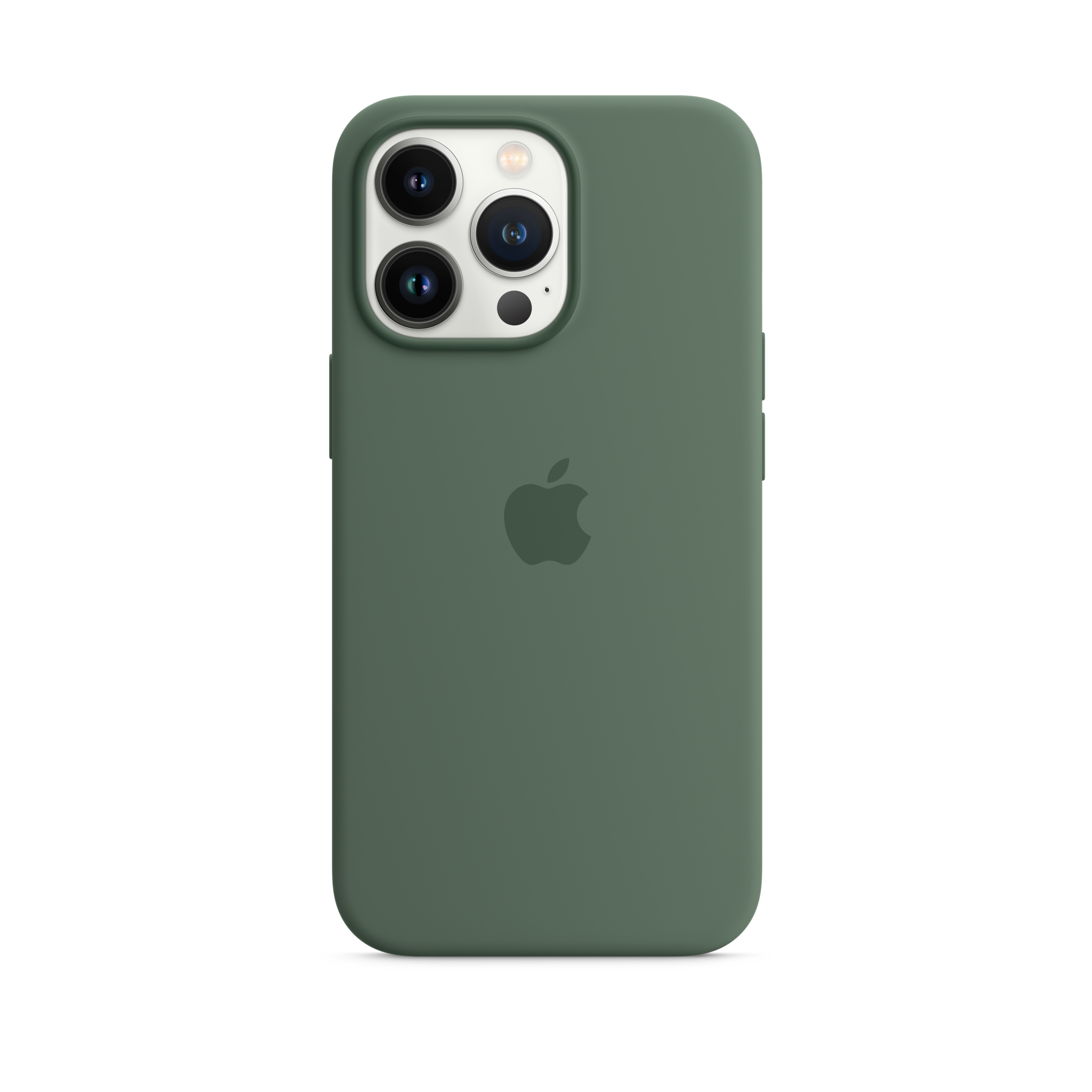 iPhone 13 Pro Silicone Case with MagSafe — Eucalyptus