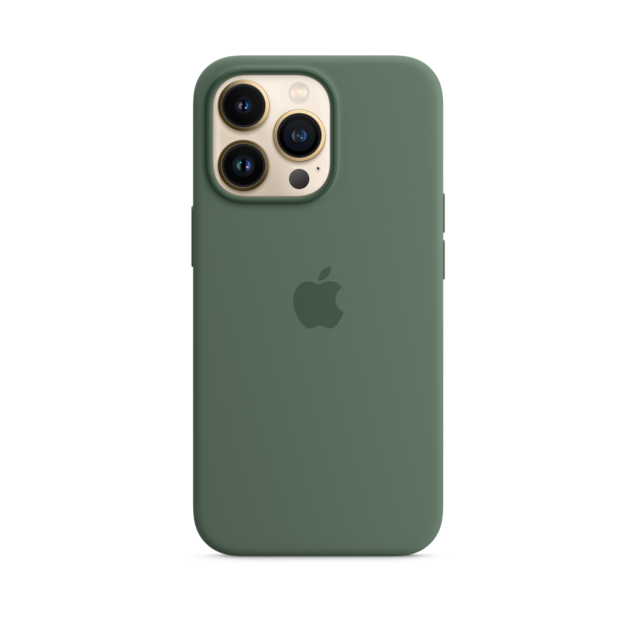 iPhone 13 Pro Silicone Case with MagSafe — Eucalyptus