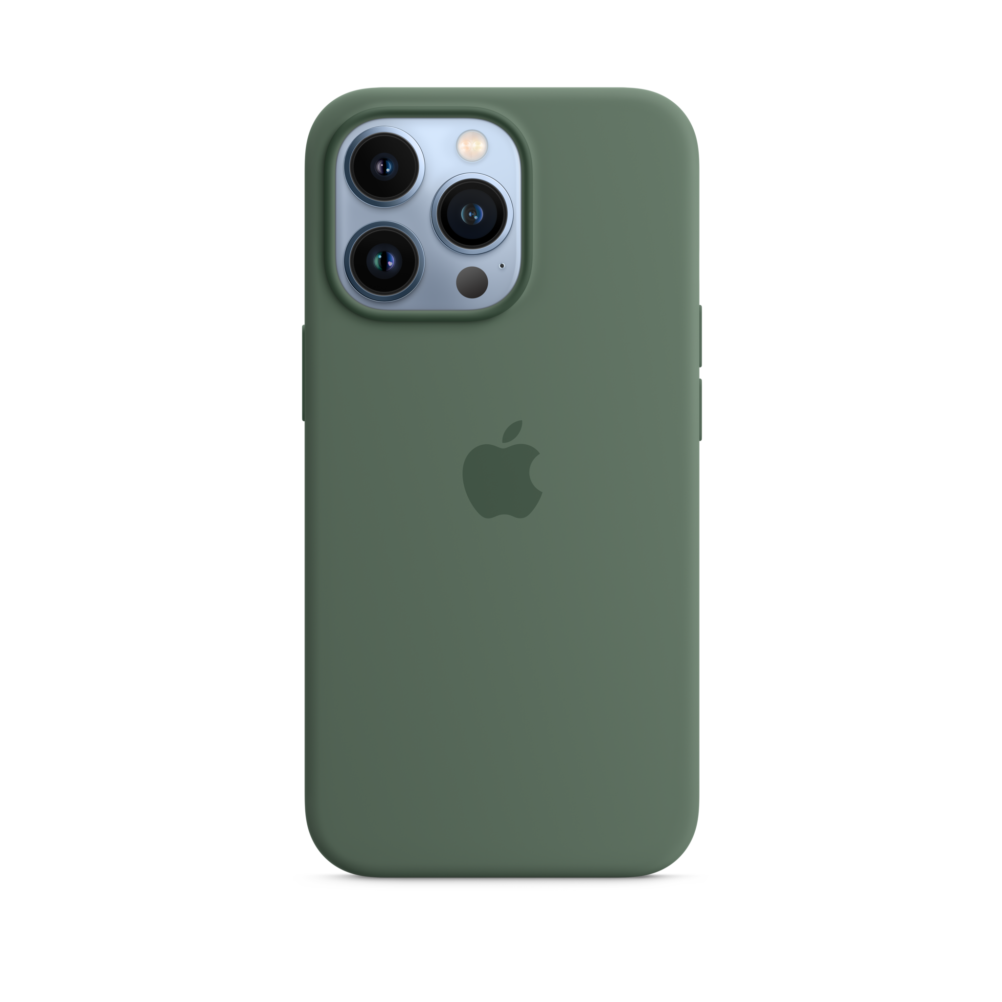 iPhone 13 Pro Silicone Case with MagSafe — Eucalyptus