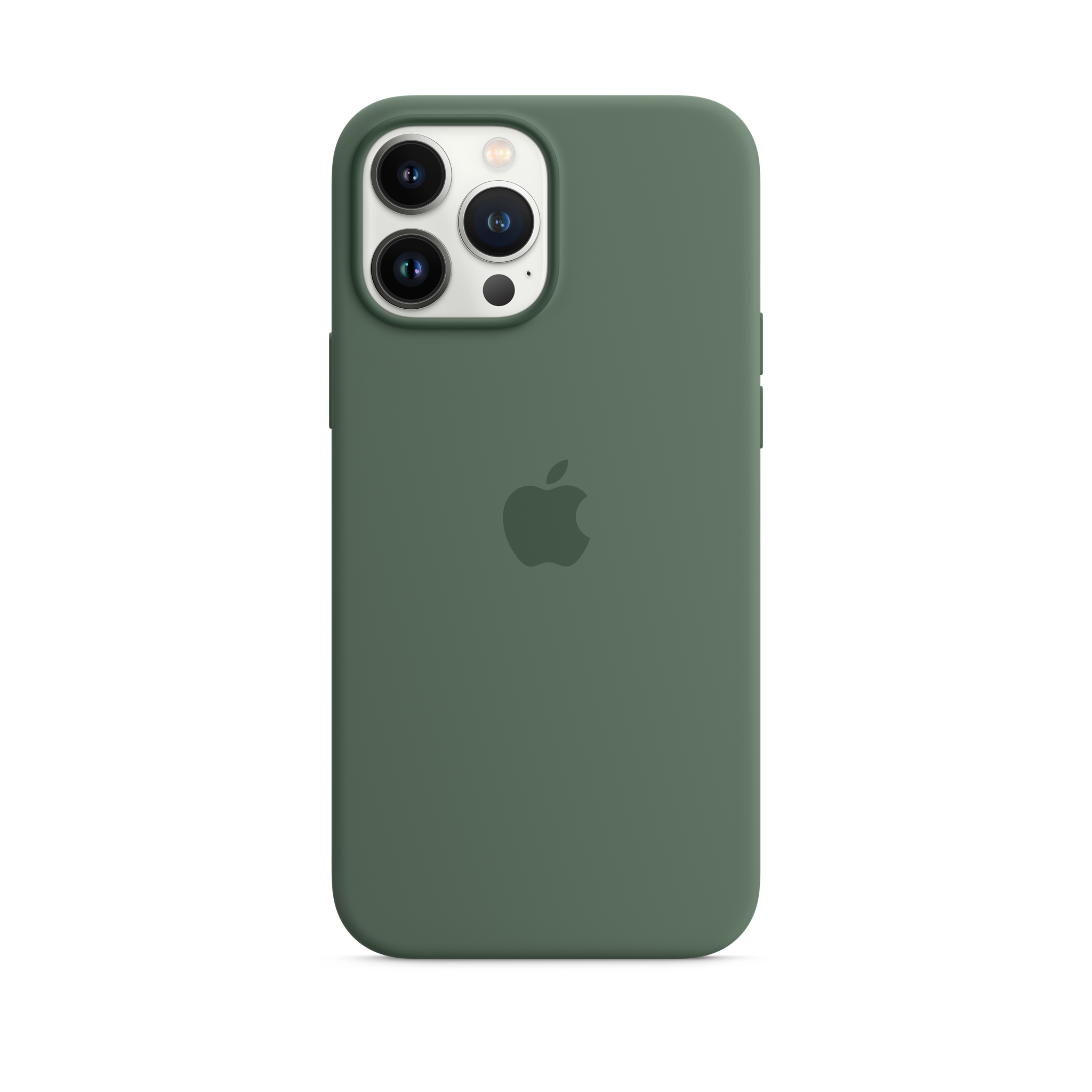 iPhone 13 Pro Max Silicone Case with MagSafe — Eucalyptus