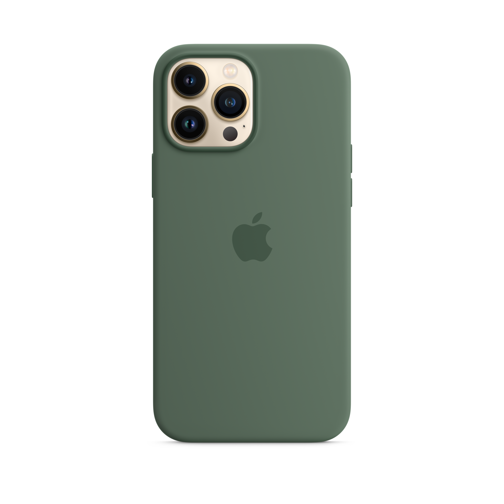 iPhone 13 Pro Max Silicone Case with MagSafe — Eucalyptus