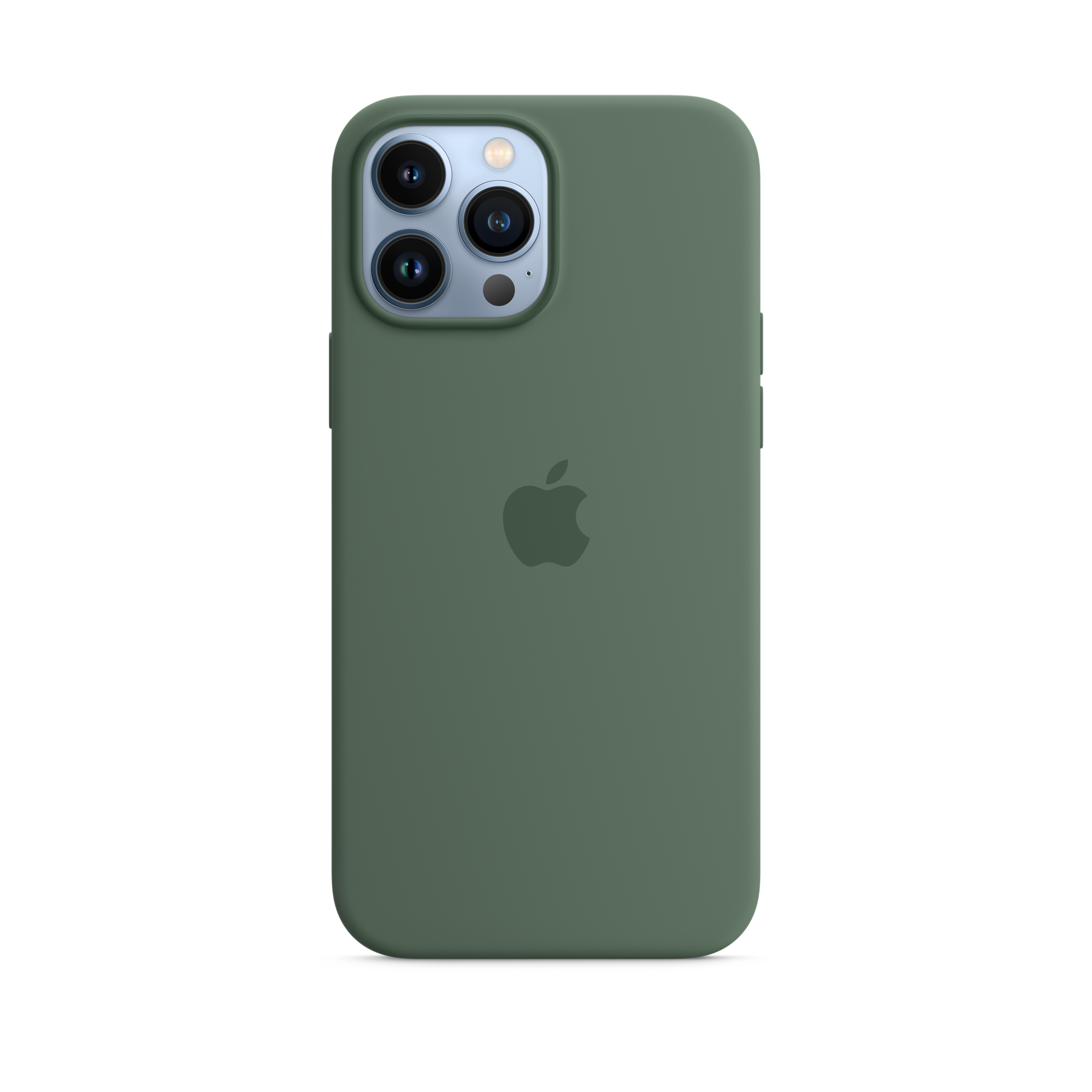 iPhone 13 Pro Max Silicone Case with MagSafe — Eucalyptus