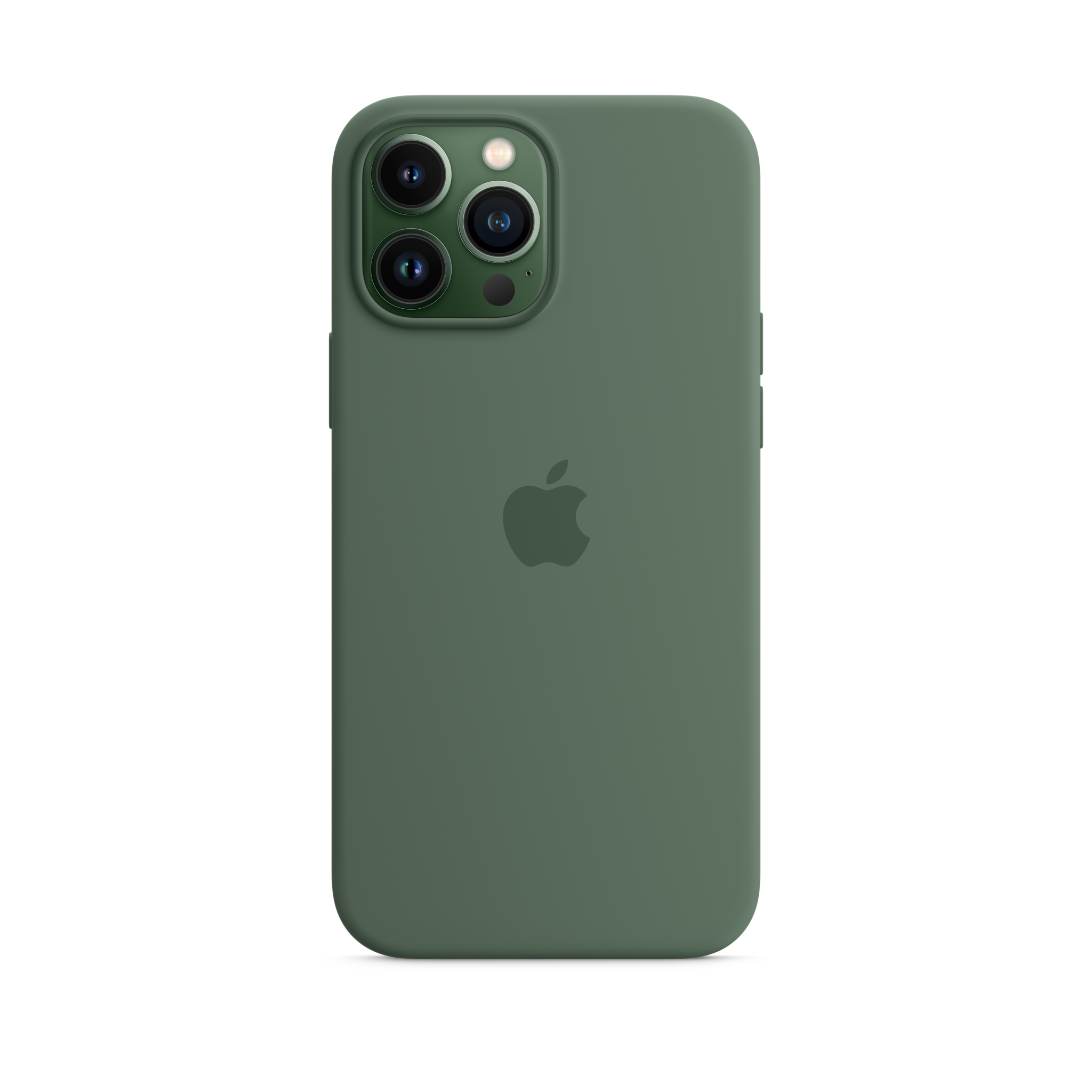 iPhone 13 Pro Max Silicone Case with MagSafe — Eucalyptus