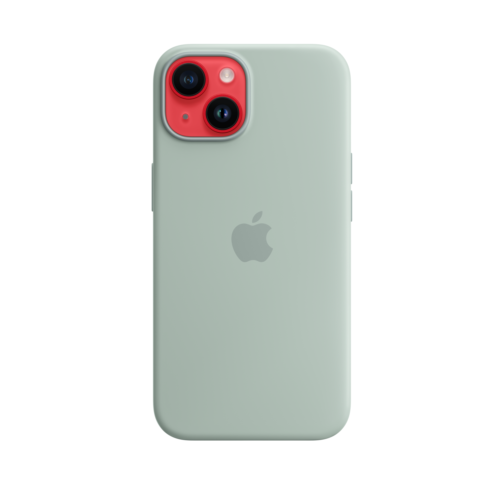 iPhone 14 Silicone Case with MagSafe — Succulent