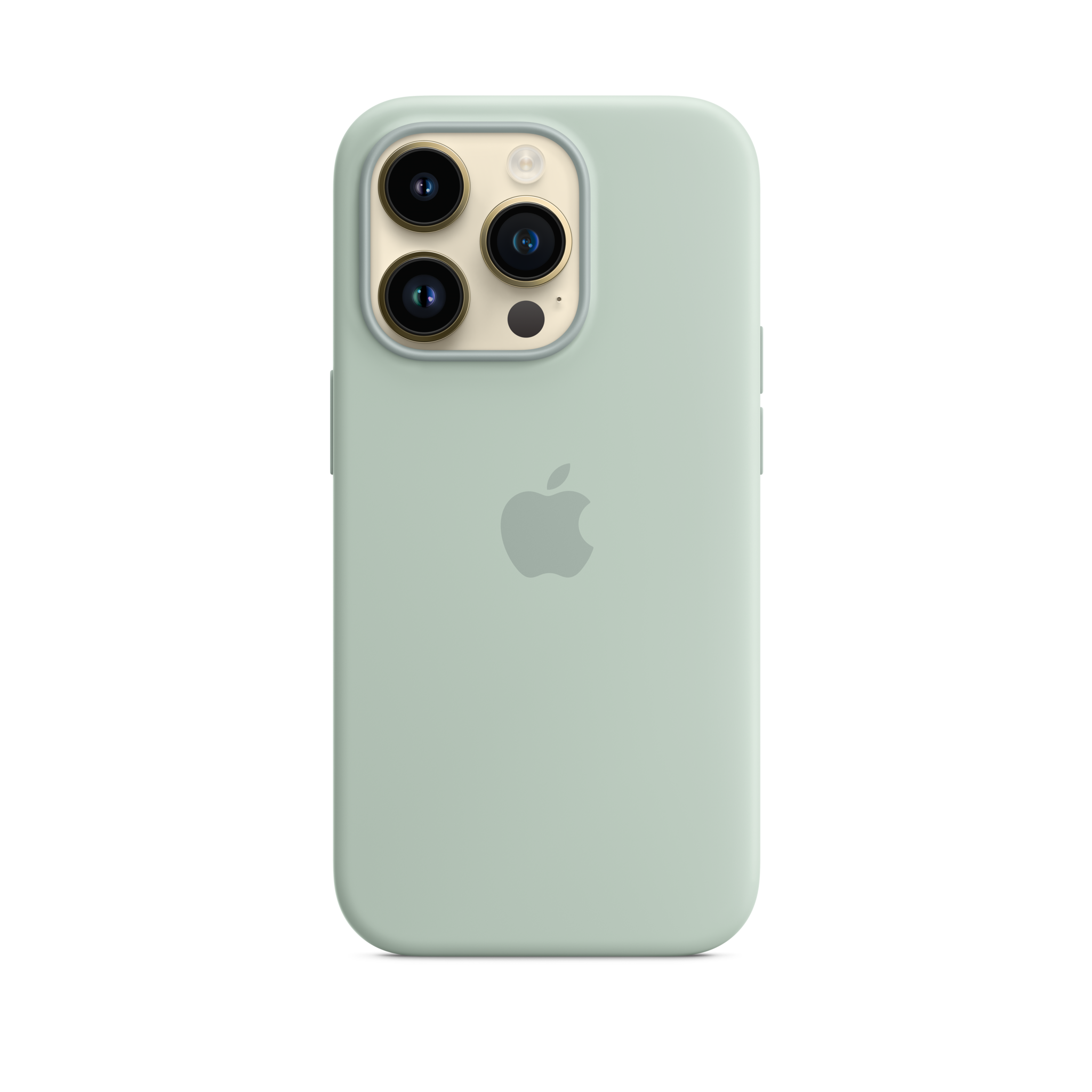 iPhone 14 Pro Silicone Case with MagSafe — Succulent