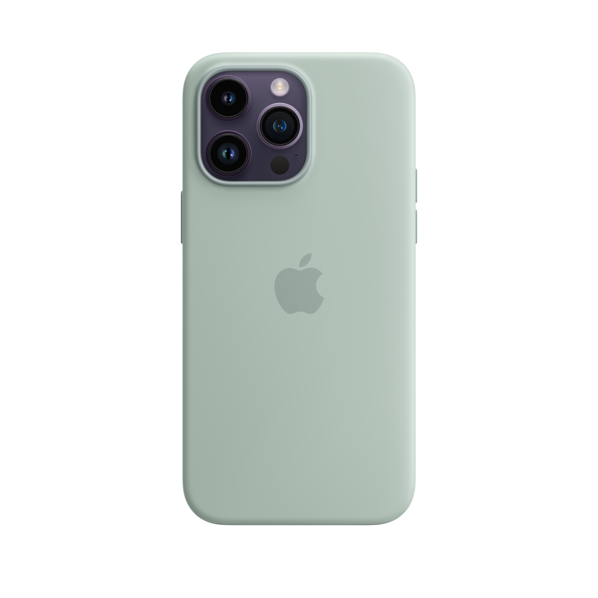 iPhone 14 Pro Max Silicone Case with MagSafe — Succulent