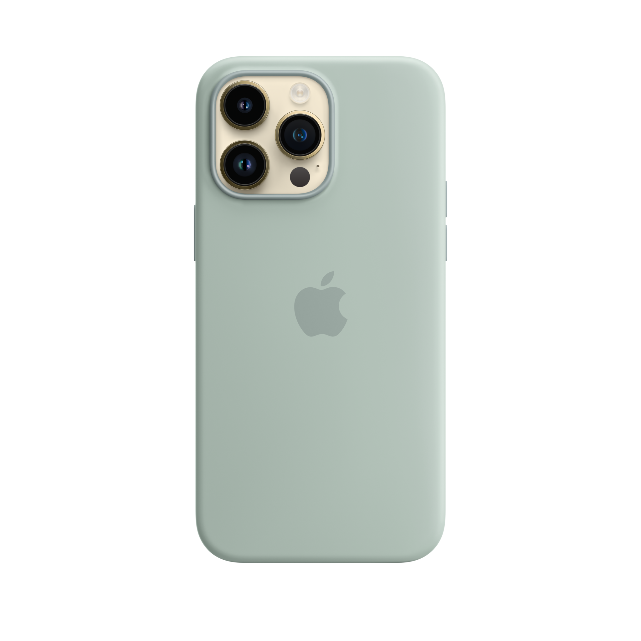 iPhone 14 Pro Max Silicone Case with MagSafe — Succulent