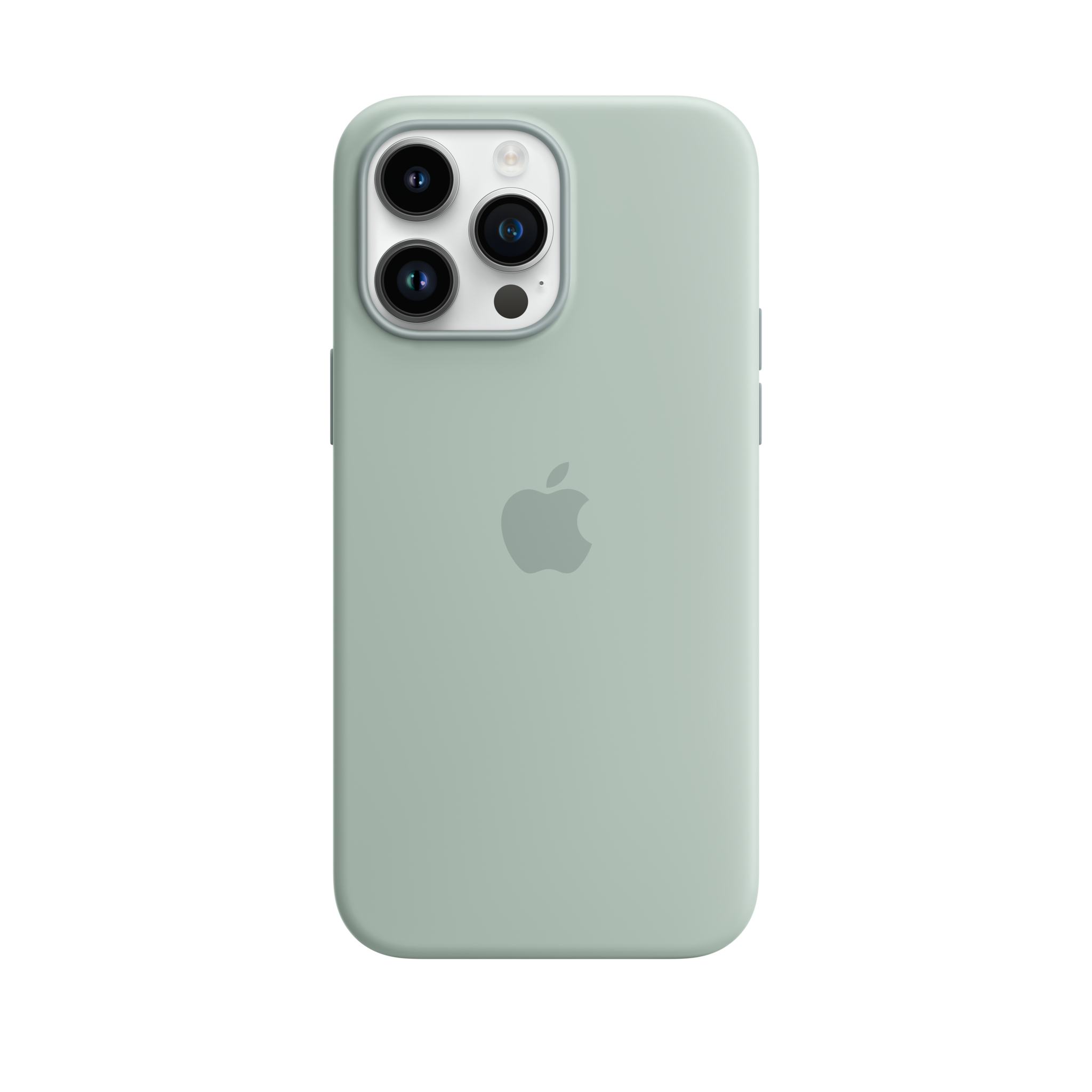 iPhone 14 Pro Max Silicone Case with MagSafe — Succulent