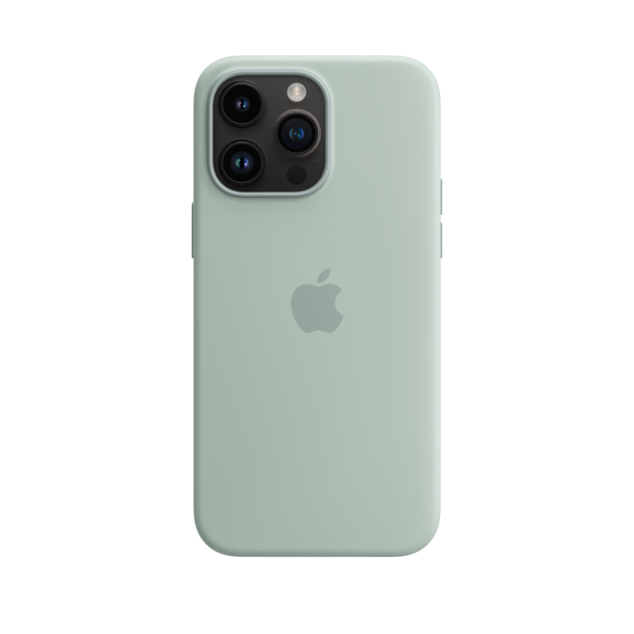 iPhone 14 Pro Max Silicone Case with MagSafe — Succulent