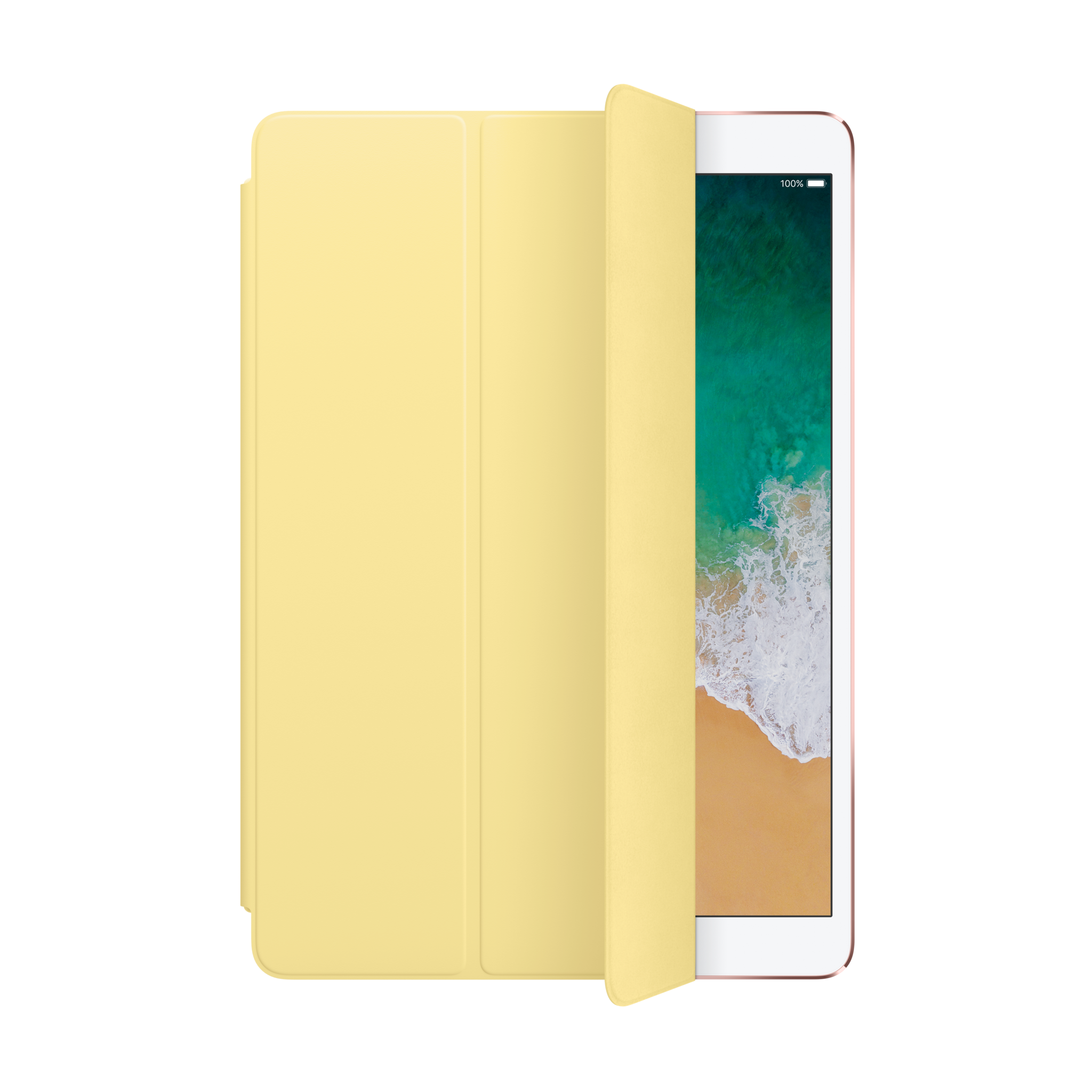 Smart Cover for iPad Pro 10.5″ — Pollen