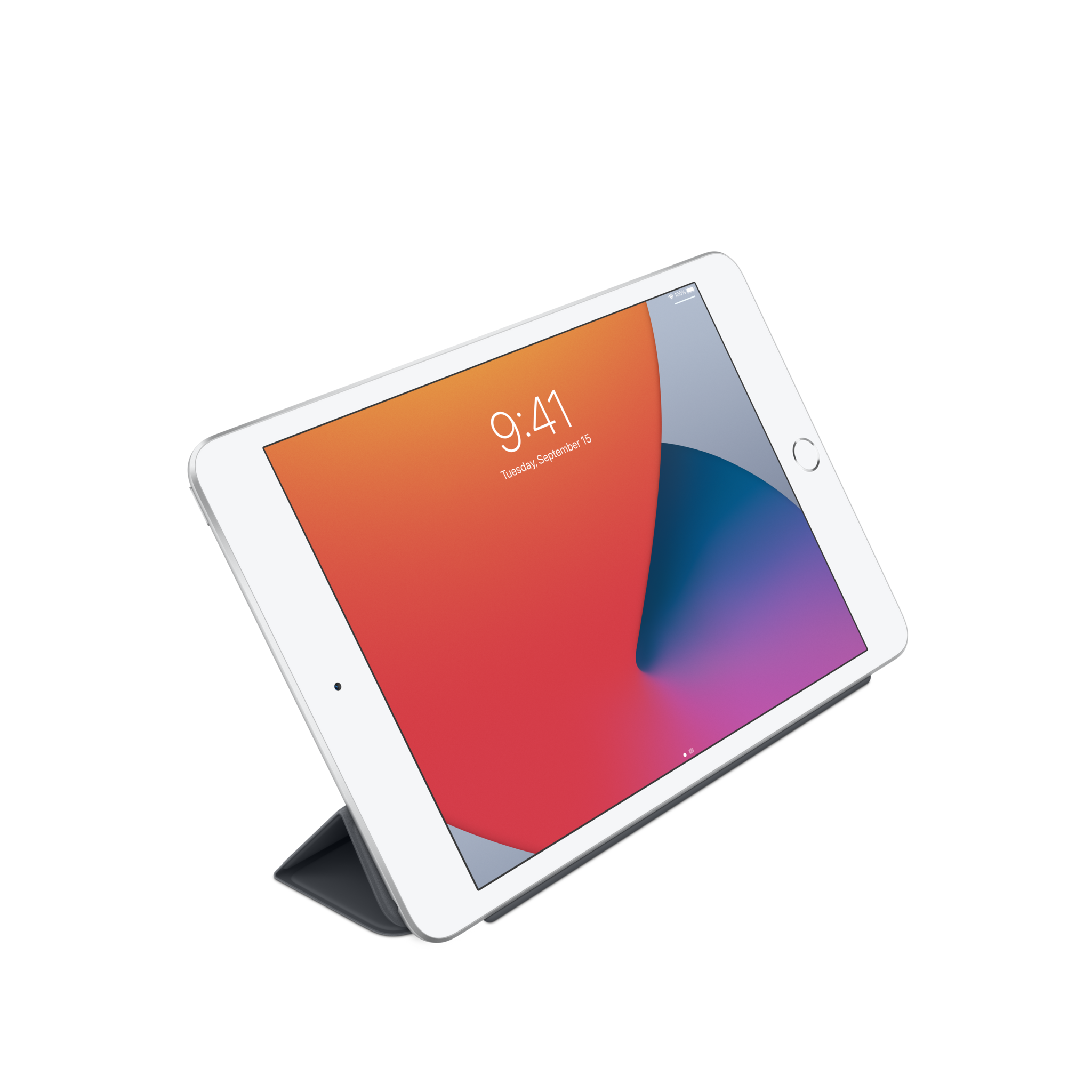 iPad mini Smart Cover — Charcoal Gray