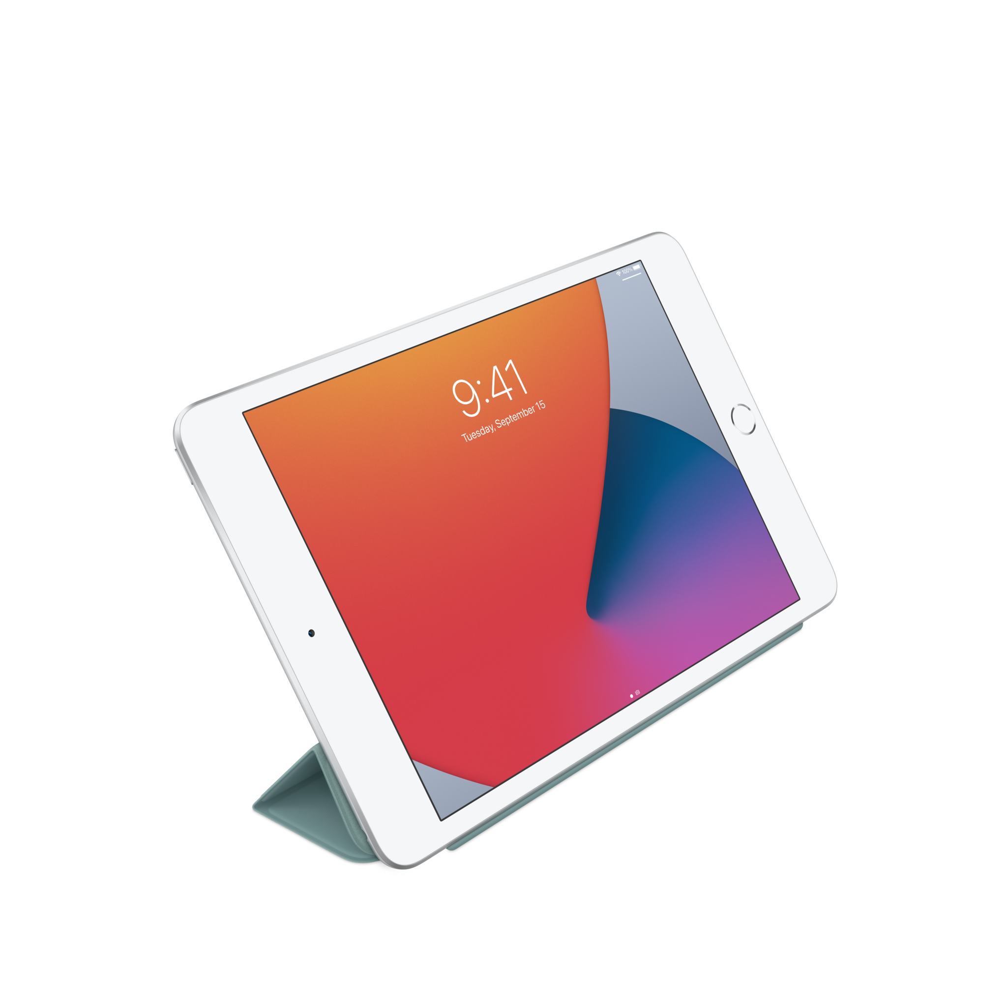 iPad mini Smart Cover — Cactus