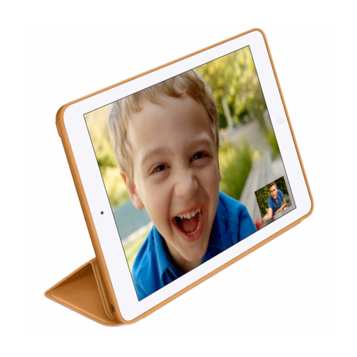iPad Air Smart Case — Brown