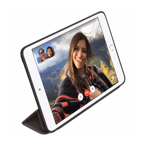 iPad mini Smart Case — Black