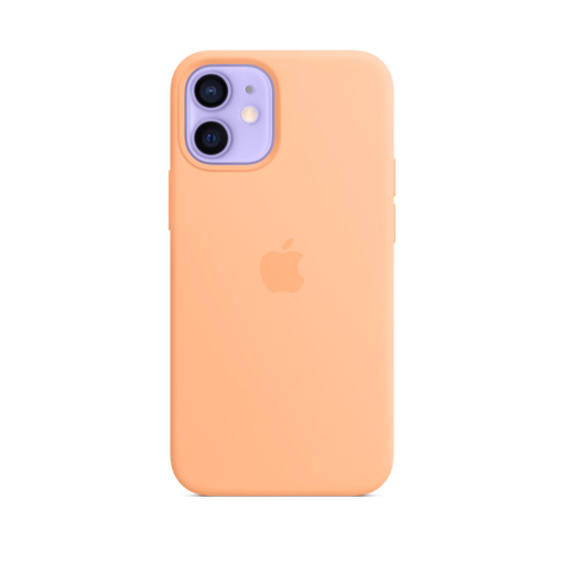 iPhone 12 mini Silicone Case — Cantaloupe iPhone 12 mini Silicone Case — Cantaloupe