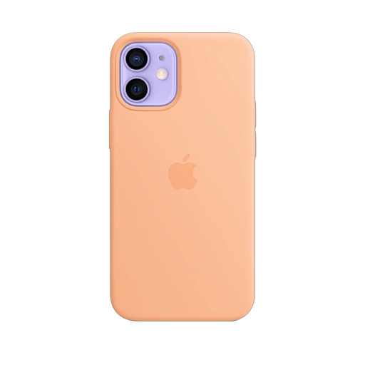 Cantaloupe iPhone 12 mini