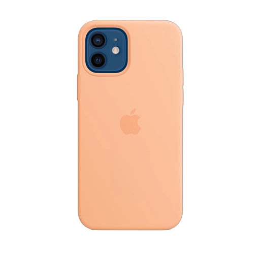 iPhone 12 & 12 Pro Silicone Case — Cantaloupe iPhone 12 & 12 Pro Silicone Case — Cantaloupe