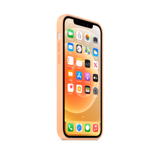 iPhone 12 & 12 Pro Silicone Case with MagSafe — Cantaloupe