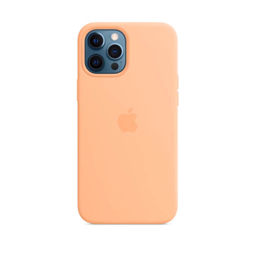 iPhone 12 Pro Max Silicone Case — Cantaloupe iPhone 12 Pro Max Silicone Case — Cantaloupe