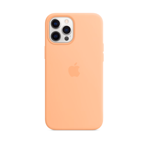iPhone 12 Pro Max Silicone Case with MagSafe — Cantaloupe