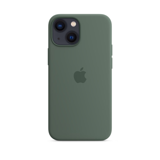 iPhone 13 mini Silicone Case with MagSafe — Eucalyptus
