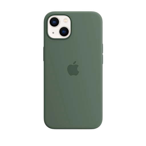 Eucalyptus iPhone 13
