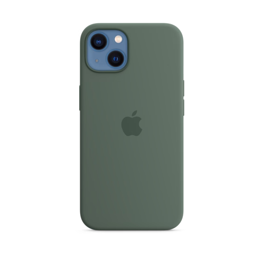 iPhone 13 Silicone Case with MagSafe — Eucalyptus