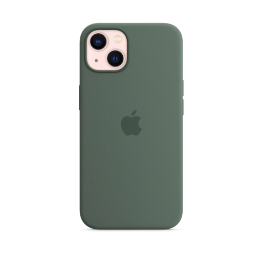iPhone 13 Silicone Case with MagSafe — Eucalyptus