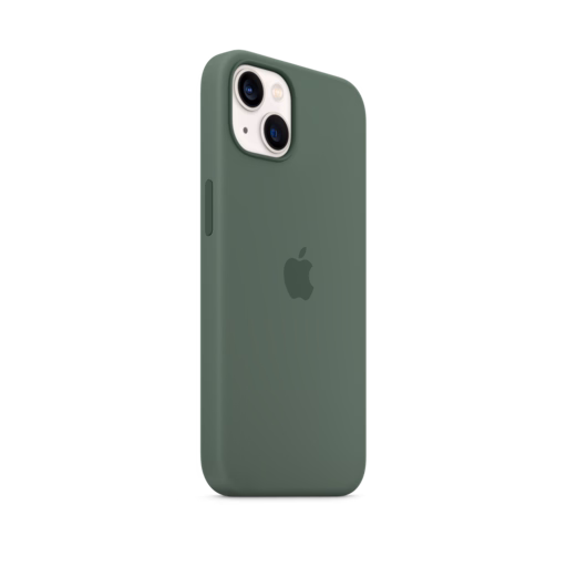 iPhone 13 Silicone Case with MagSafe — Eucalyptus
