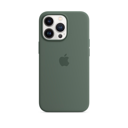 iPhone 13 Pro Silicone Case with MagSafe — Eucalyptus