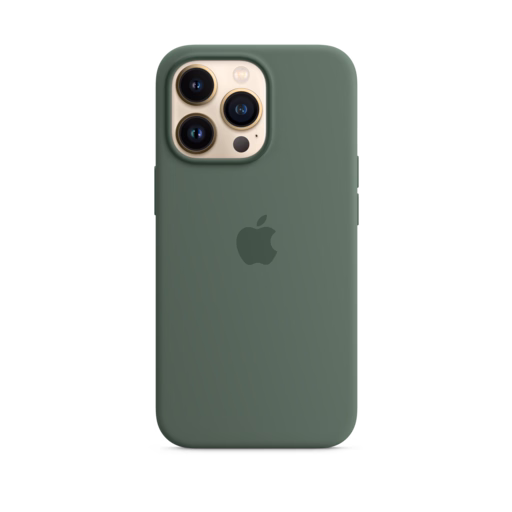 iPhone 13 Pro Silicone Case with MagSafe — Eucalyptus