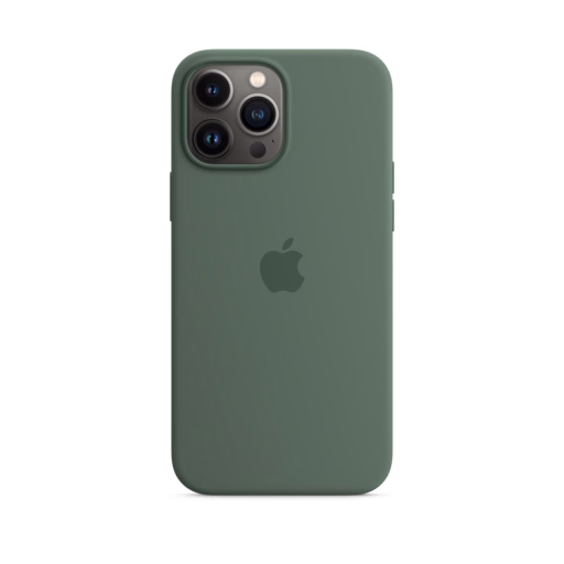iPhone 13 Pro Max Silicone Case — Eucalyptus