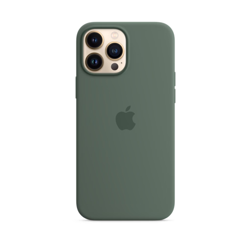 iPhone 13 Pro Max Silicone Case with MagSafe — Eucalyptus