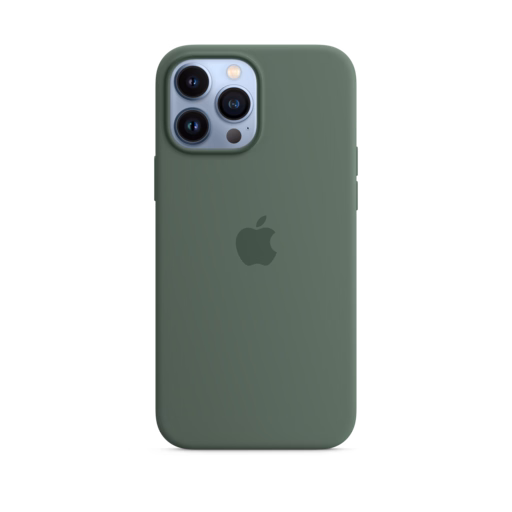 iPhone 13 Pro Max Silicone Case with MagSafe — Eucalyptus