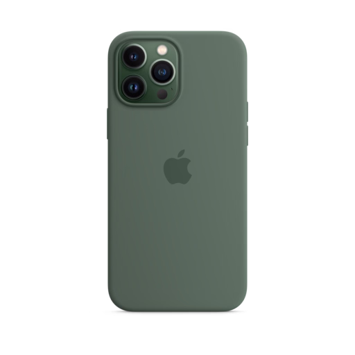 iPhone 13 Pro Max Silicone Case with MagSafe — Eucalyptus