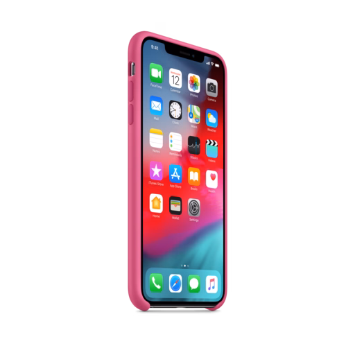 iPhone XS Max Silicone Case — Dragon Fruit