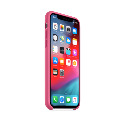 iPhone XS Silicone Case — Dragon Fruit