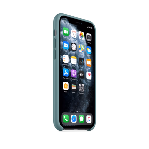 iPhone 11 Pro Silicone Case — Cactus