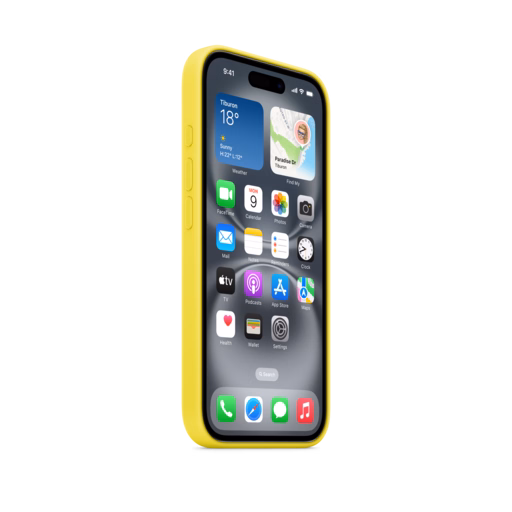 iPhone 16 Silicone Case with MagSafe — Star Fruit