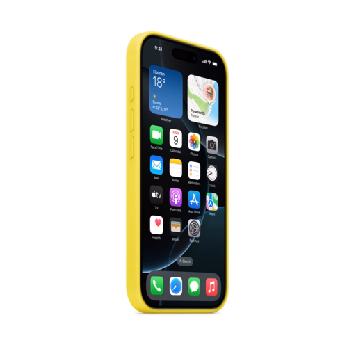 iPhone 16 Pro Silicone Case with MagSafe — Star Fruit