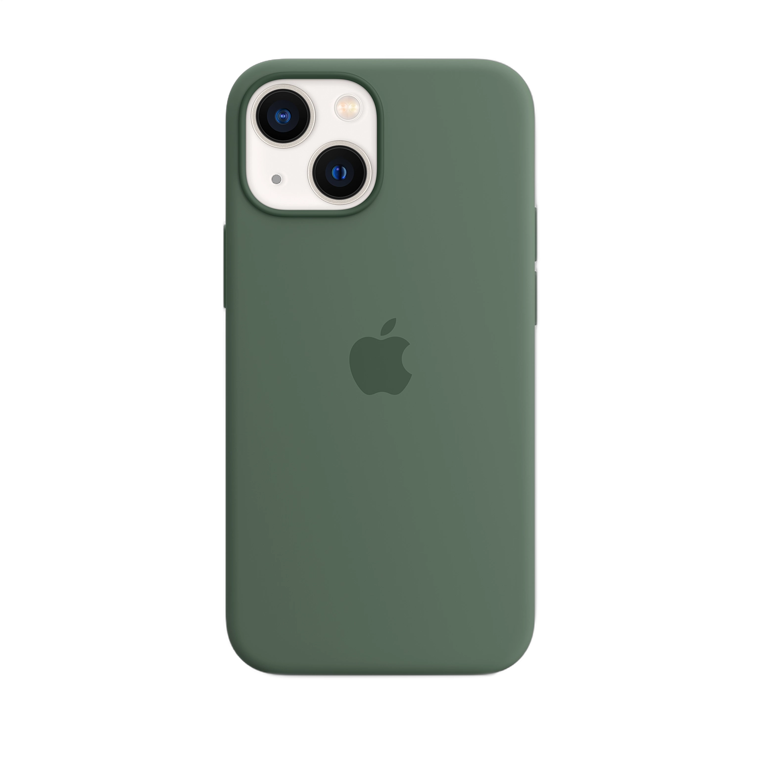 iPhone 13 mini Silicone Case with MagSafe — Eucalyptus