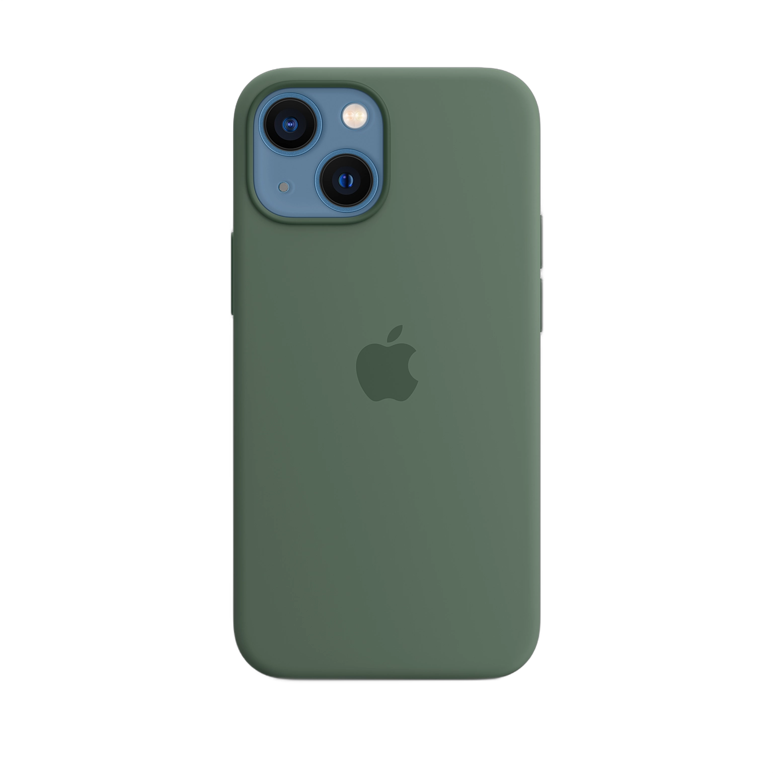 iPhone 13 mini Silicone Case with MagSafe — Eucalyptus